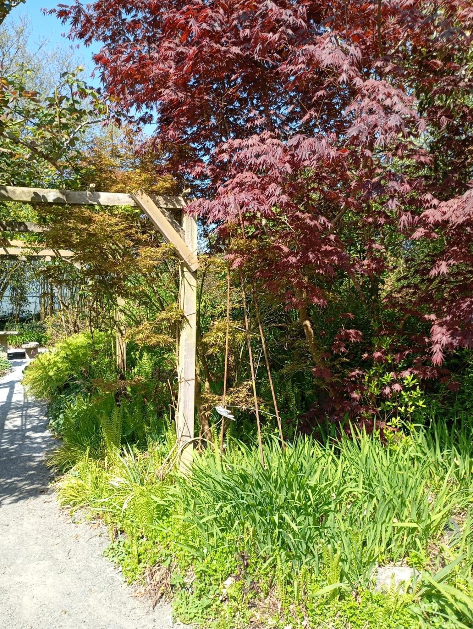 Vila La Chartrie Sartilly-Baie-Bocage Exteriér fotografie